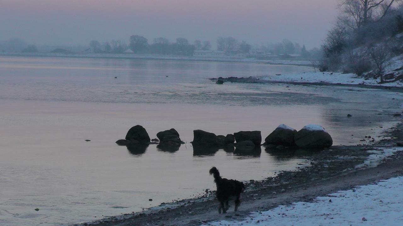 Zirkuswagen Nahe Ostsee Und Schlei Wagersrott Exterior photo